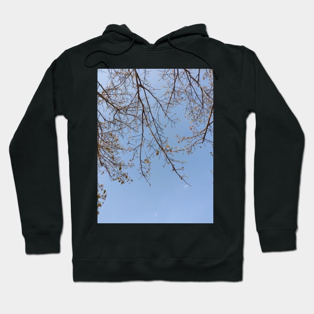 Sky and branches Hoodie by stupidpotato1